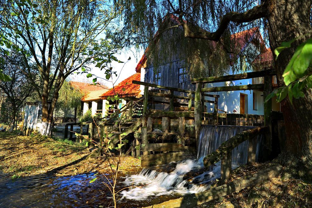 Pensiunea Moara Lu Antone Orastioara de Sus Exterior foto